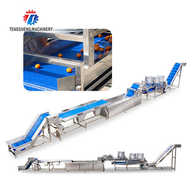Automatic Fruit And Vegetable Processing Line Selection Washing Drying