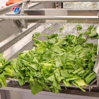 Double Vortex cleaning production lineOrange Leaves Vegetables sward beans soybeans green beans chickpeas beans  red beans mung beans green peas Fruit Vegetable FOOD processing production Machine