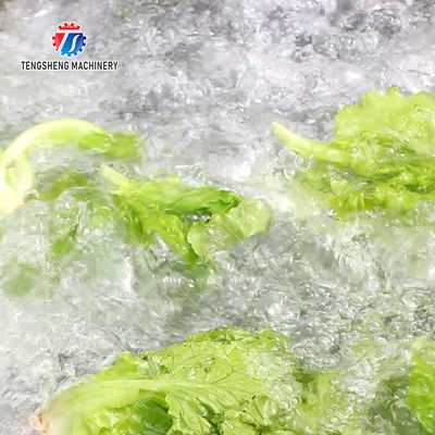 4.5KW Fruit And Vegetable Processing Line Vibration Draining Equipment