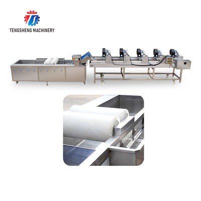 Fruits cleaning and drying production line Fruit Vegetable FOOD processing production Machine