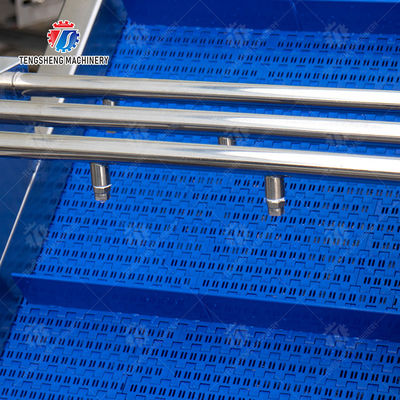 Fruits cleaning and drying production line Fruit Vegetable FOOD processing production Machine