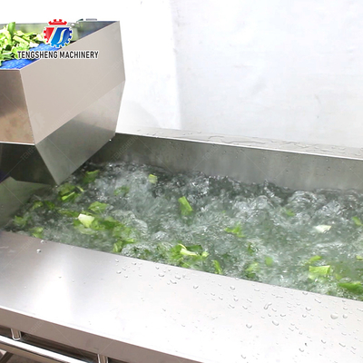 Double head cutting-hoisting-vortex washing production line Fruit Vegetable FOOD processing production Machine
