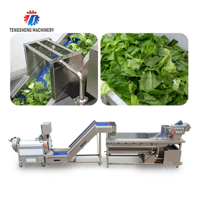 Double head cutting-hoisting-vortex washing production line Fruit Vegetable FOOD processing production Machine
