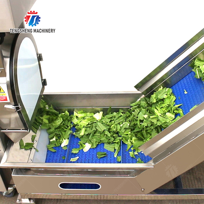 Double head cutting-hoisting-vortex washing production line Fruit Vegetable FOOD processing production Machine