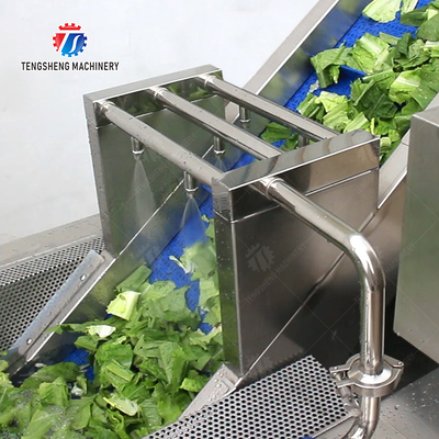 Double head cutting-hoisting-vortex washing production line Fruit Vegetable FOOD processing production Machine