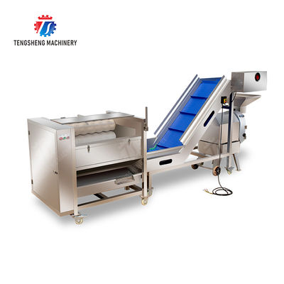 Roller washing and cutting production line Fruit Vegetable FOOD processing production Machine