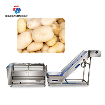 Brush washing and hoisting production line Ginger Potato Carrot Taro Sweet potato Yam processing production Machine