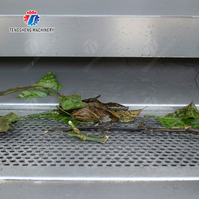 Air Brush Cleansing Citrus Processing Line ,  Anti Abrasion Sullage Removal Potato Processing Line