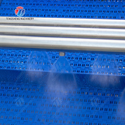 Citrus Stalk Eliminated Lemon Processing Machinery Industrial Air Bubble Brush