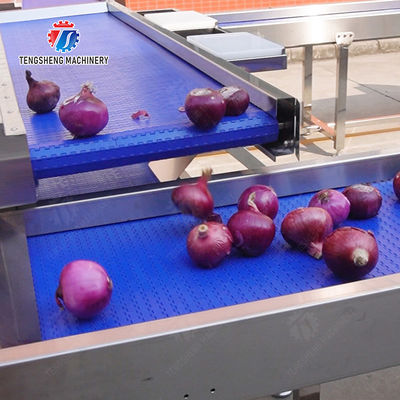 Conveyor Production Line Simplified Orange Potato  Onions Ginger Potato Carrot Taro Sweet potato Yam Saiko persimmon papaya horseshoe processing production Grading Transporting Machine