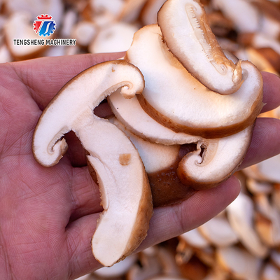 Mushroom slicer Wash Washer Washing Shiitake mushrooms Cleaning Dryer Cutting processing production Machine