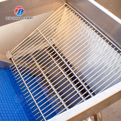 Pre-foaming elevator processing production Destoning Supplying Inspecting Grading Fruit Orange Vegetable Onions horseshoe Ginger Potato Carrot radish Lettuce Baby Cabbage Chinese Cabbage Cabbage