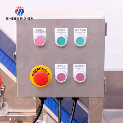 Pre-foaming elevator processing production Destoning Supplying Inspecting Grading Fruit Orange Vegetable Onions horseshoe Ginger Potato Carrot radish Lettuce Baby Cabbage Chinese Cabbage Cabbage