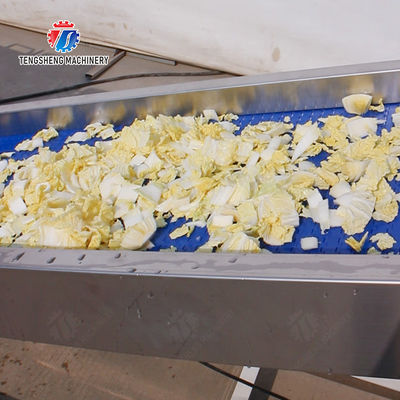 Fruit Orange Vegetable Onions horseshoe Ginger Potato Carrot radish Lettuce Baby Cabbage Chinese Cabbage Cabbage Hoisting machine Washing Dryer processing production line