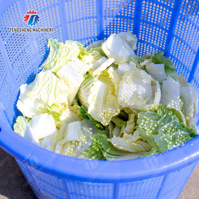 Potato Carrot Lettuce Mushrooms Bamboo shoots chili Spinach Passion Fruit tangerine Juice made from wild cherry plums Kiwi Mango Strawberry lemon kale Celery Material transfer rack