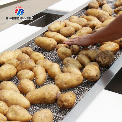 Potato Selection Table Ginger Carrot radish Celery kale lemon Saiko persimmon Fruit Orange Vegetable