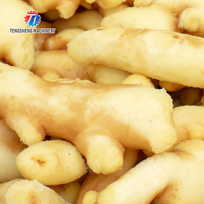 Brush washing and hoisting production line Ginger Potato Carrot Taro Sweet potato Yam processing production Machine