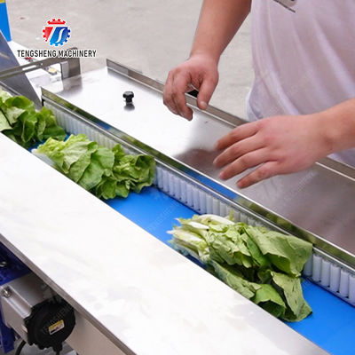 Leaves Vegetables Carrots and longitudinal root vegetables Onions Leafy vegetables Cabbage varieties Fruiting vegetables Saiko persimmon Fruit and Vegetable Pillow Packaging Machine