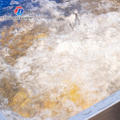 Pre-foaming elevator processing production Destoning Supplying Inspecting Grading Fruit Orange Vegetable Onions horseshoe Ginger Potato Carrot radish Lettuce Baby Cabbage Chinese Cabbage Cabbage