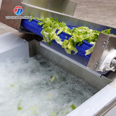 Fruit Orange Vegetable Onions horseshoe Ginger Potato Carrot radish Lettuce Baby Cabbage Chinese Cabbage Cabbage Hoisting machine Washing Dryer processing production line