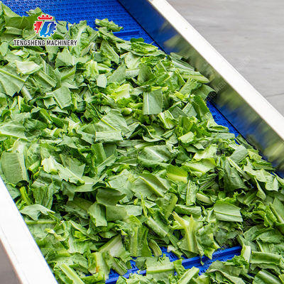 Fruit Orange Vegetable Onions horseshoe Ginger Potato Carrot radish Lettuce Baby Cabbage Chinese Cabbage Cabbage Hoisting machine Washing Dryer processing production line