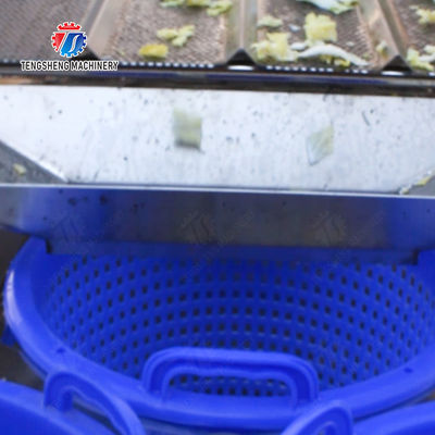 Potato Carrot Lettuce Mushrooms Bamboo shoots chili Spinach Passion Fruit tangerine Juice made from wild cherry plums Kiwi Mango Strawberry lemon kale Celery Material transfer rack