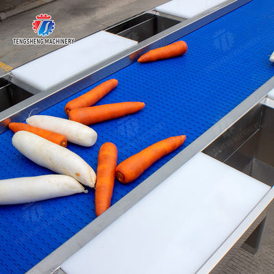 lemon cherry Passion Fruit Apple Potato Carrot radish Sweet potato okra Lettuce Chinese Cabbage Cabbage kiwi fruit orange chili Celery kale Selection Table