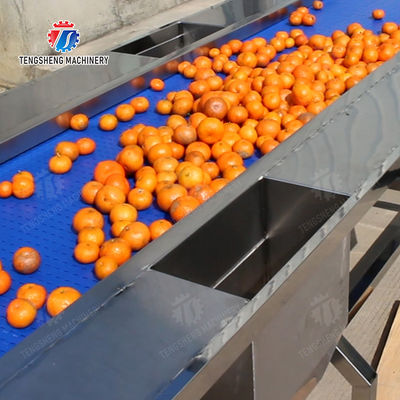 lemon cherry Passion Fruit Apple Potato Carrot radish Sweet potato okra Lettuce Chinese Cabbage Cabbage kiwi fruit orange chili Celery kale Selection Table