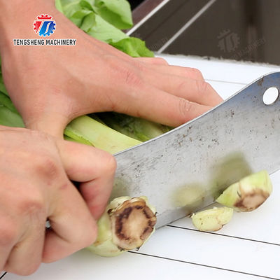 lemon cherry Passion Fruit Apple Potato Carrot radish Sweet potato okra Lettuce Chinese Cabbage Cabbage kiwi fruit orange chili Celery kale Selection Table