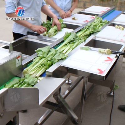 lemon cherry Passion Fruit Apple Potato Carrot radish Sweet potato okra Lettuce Chinese Cabbage Cabbage kiwi fruit orange chili Celery kale Selection Table