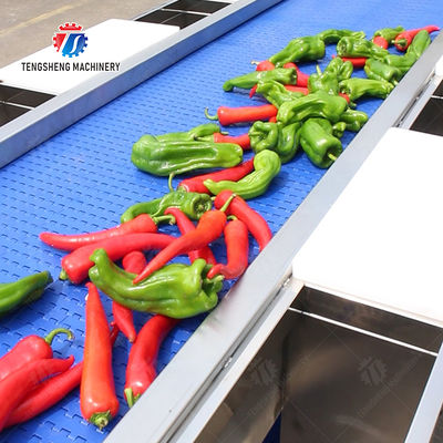 Selection Table  lemon cherry Passion Fruit Apple Potato Carrot radish Sweet potato okra Lettuce Chinese Cabbage Cabbage kiwi fruit orange chili Celery kale