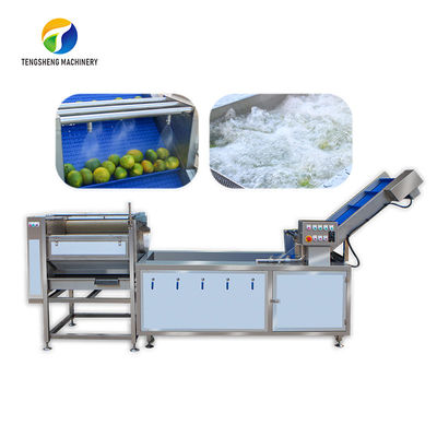 柑橘類の茎は機械類の産業気泡のブラシを処理するレモンを除去した