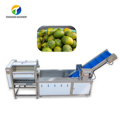 塵はSortmentのフルーツの生産ライン泡制御のパイナップル野菜クリーニングをごしごし洗う