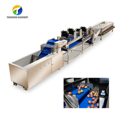 Tengshengの高圧噴霧の果物と野菜の加工ライン産業残りの低下