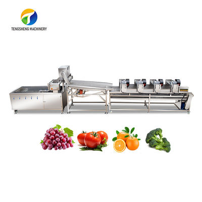 装置を流出させる4.5KW果物と野菜の加工ライン振動