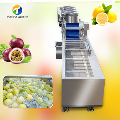 パッション フルーツの泡クリーニングおよび乾燥の分類の生産ライン