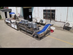 TS-M100 パラレルブラシマシンで、あなたの果物と野菜の加工ラインを次のレベルへ